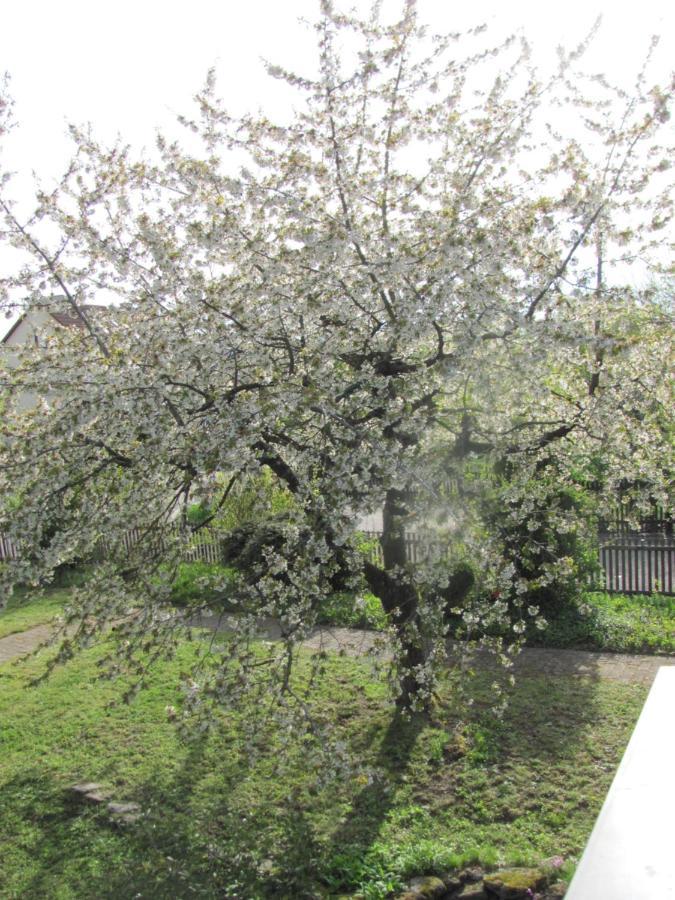 Hochwertiges Ferienhaus Im Romantischen Franken Colmberg ภายนอก รูปภาพ